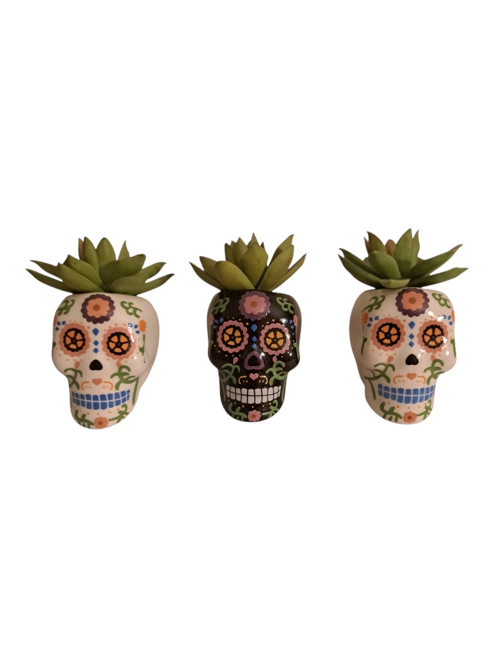 Sugar Skull Faux Succulent Set